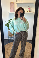 DANA FLOREA Aperitivo Sweater Mintgroen