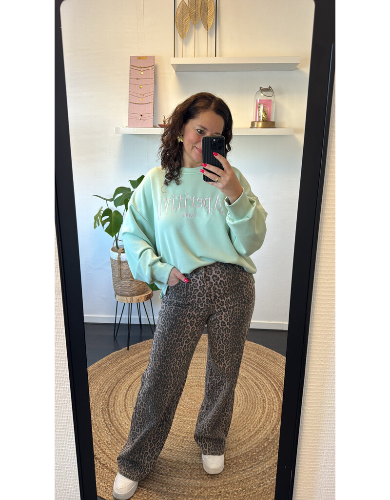 DANA FLOREA Aperitivo Sweater Mintgroen