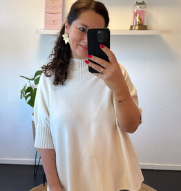 DANA FLOREA Top Celeste Beige