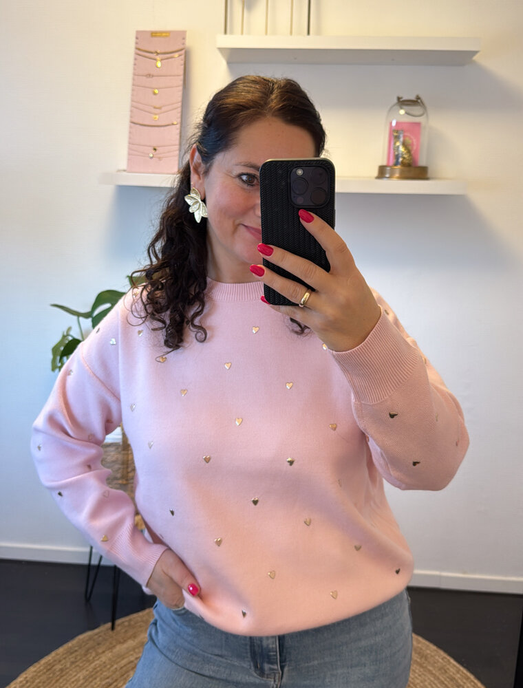 DANA FLOREA Trui Studs Hartjes Roze
