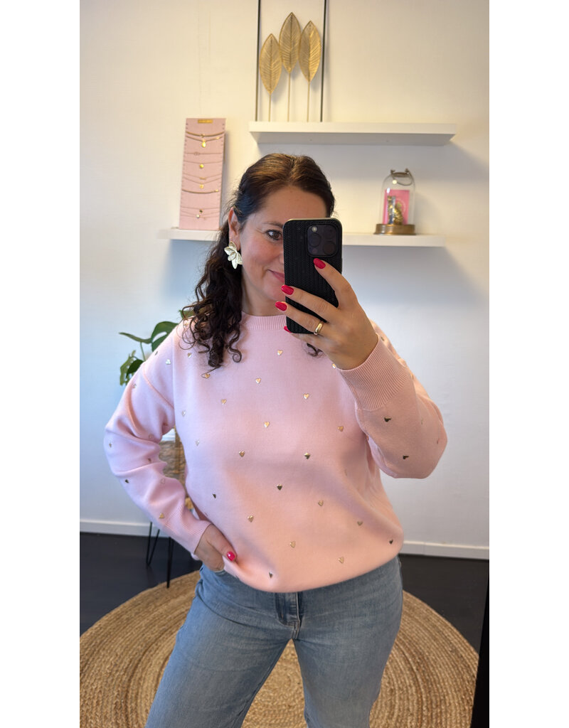 DANA FLOREA Trui Studs Hartjes Roze