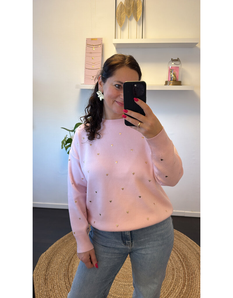DANA FLOREA Trui Studs Hartjes Roze