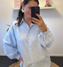 DANA FLOREA Blouse New York Blauw