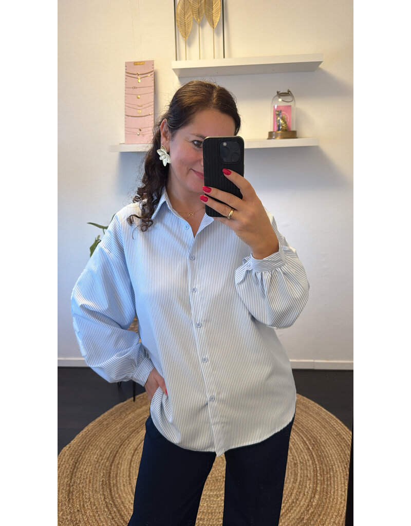 DANA FLOREA Blouse New York Blauw