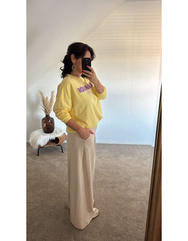 DANA FLOREA Sweater Le Maison Geel