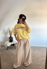 DANA FLOREA Broek Lizzy Beige