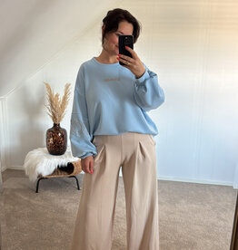 DANA FLOREA Sweater Iconic Blauw