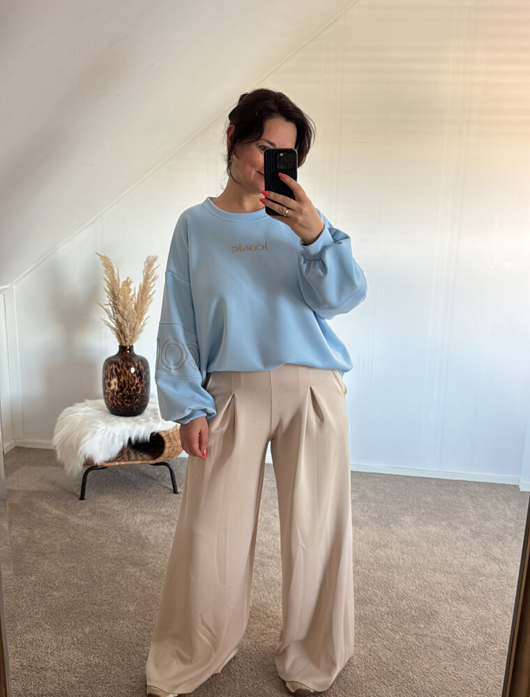 DANA FLOREA Sweater Iconic Blauw