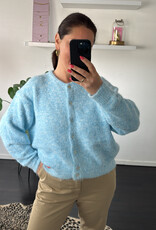 DANA FLOREA Vest Lili Lichtblauw