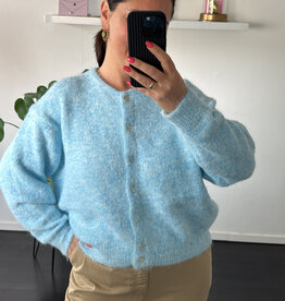 DANA FLOREA Vest Lili Lichtblauw