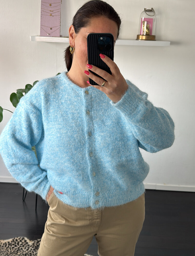 DANA FLOREA Vest Lili Lichtblauw