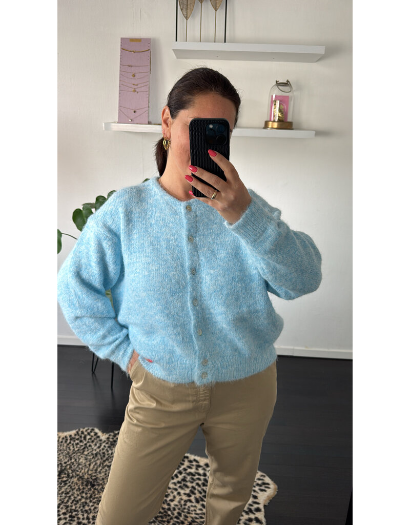 DANA FLOREA Vest Lili Lichtblauw