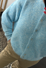 DANA FLOREA Vest Lili Lichtblauw