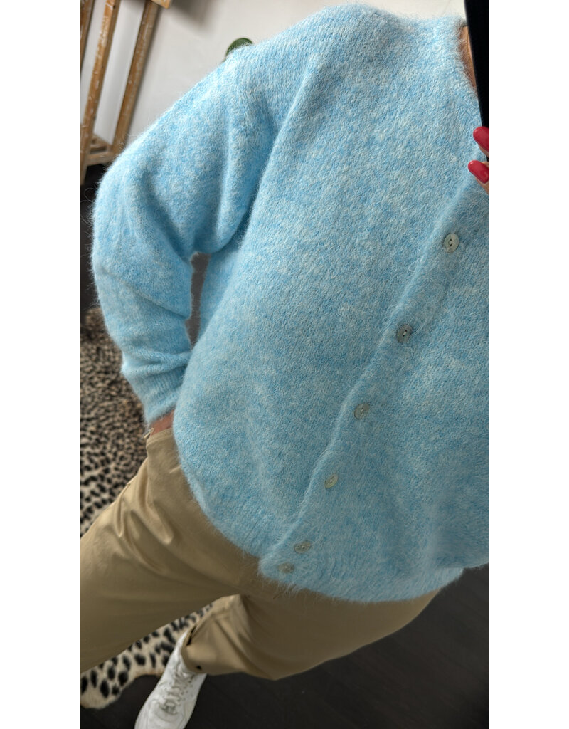 DANA FLOREA Vest Lili Lichtblauw