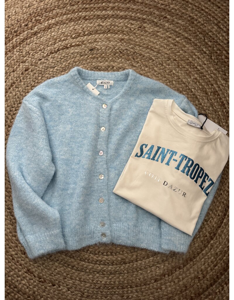 DANA FLOREA Vest Lili Lichtblauw