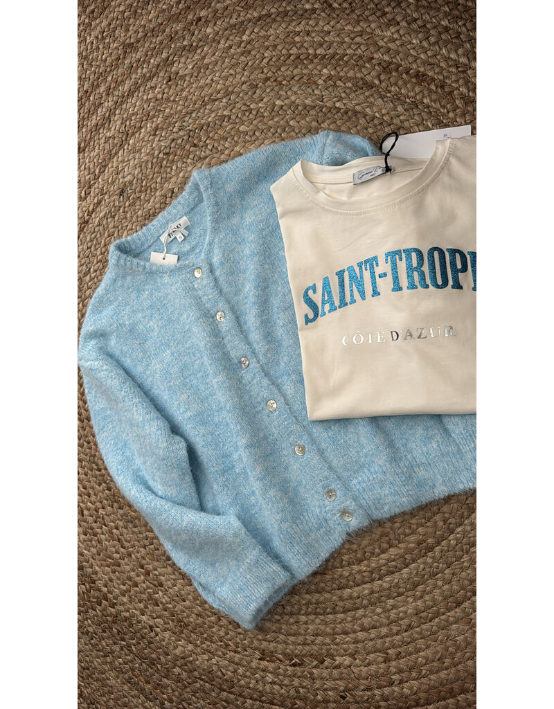 DANA FLOREA Vest Lili Lichtblauw