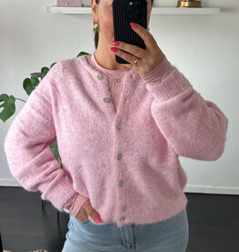 DANA FLOREA Vest Lilli Lichtroze