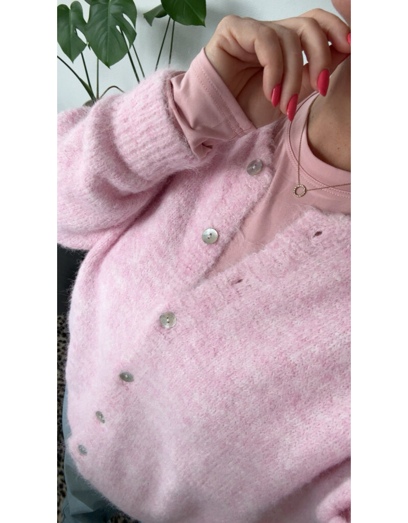 DANA FLOREA Vest Lilli Lichtroze