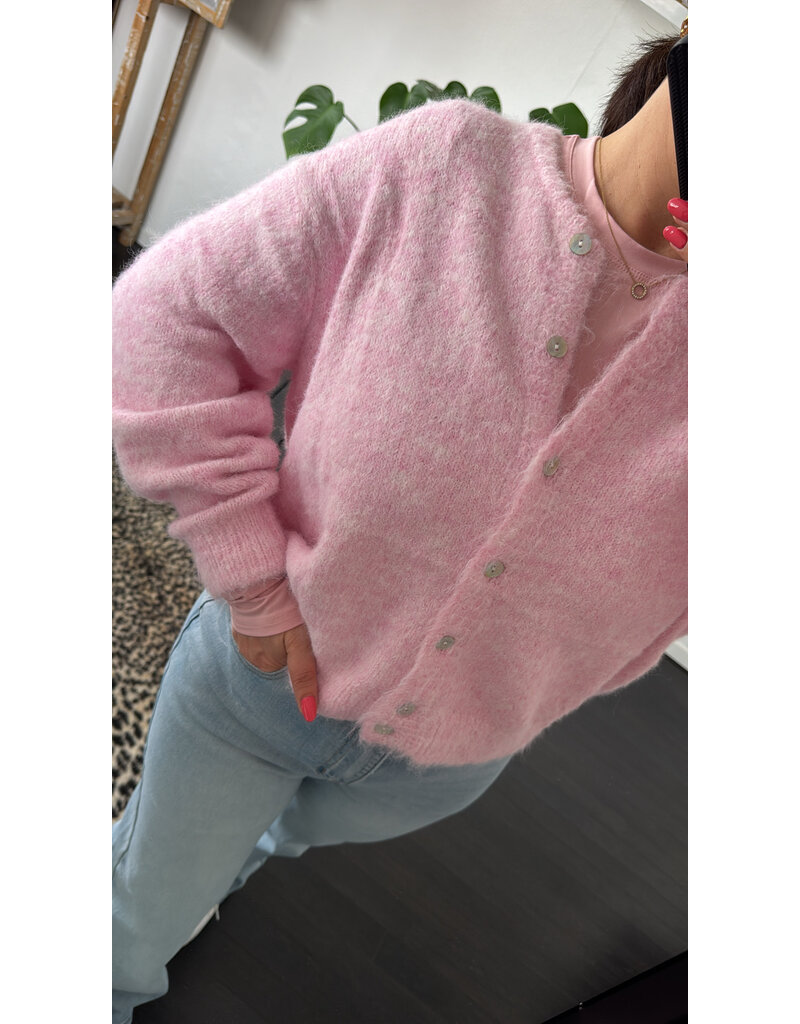 DANA FLOREA Vest Lilli Lichtroze