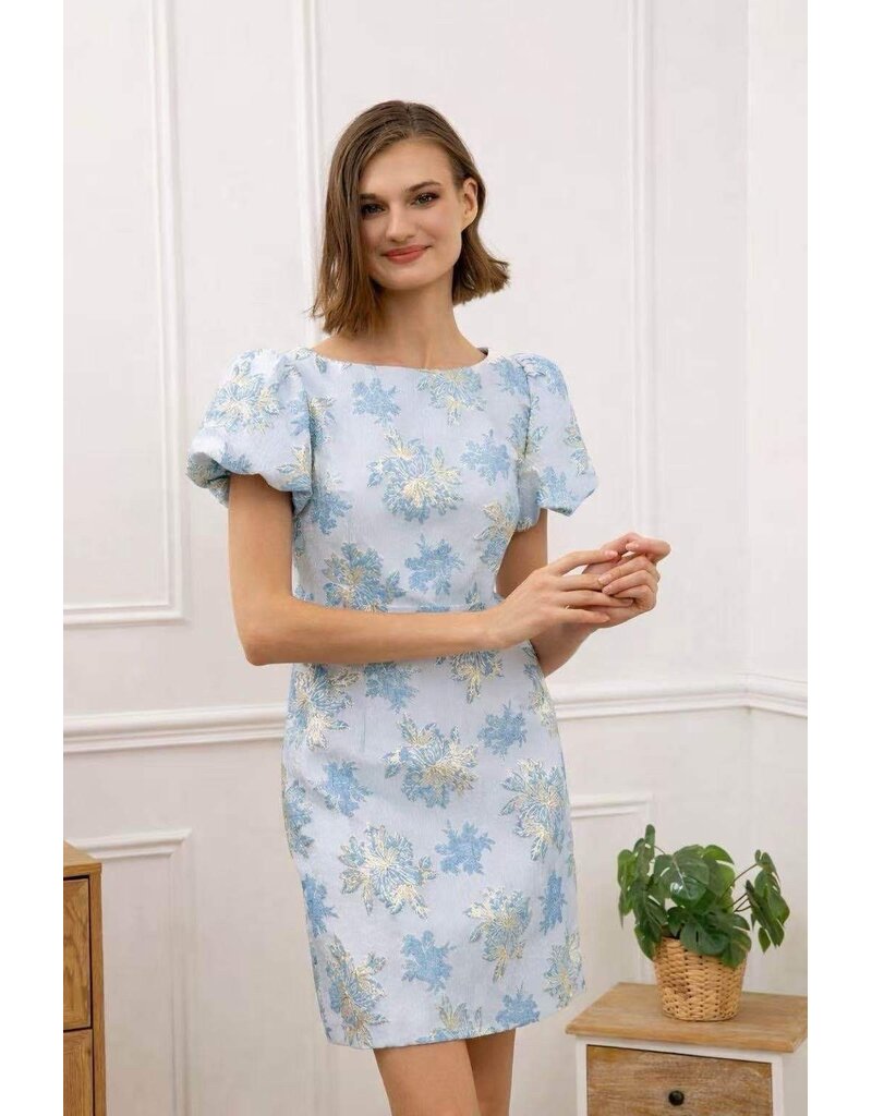 DANA FLOREA Jurk Dana Jacquard Blauw