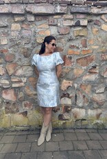 DANA FLOREA Jurk Dana Jacquard Blauw