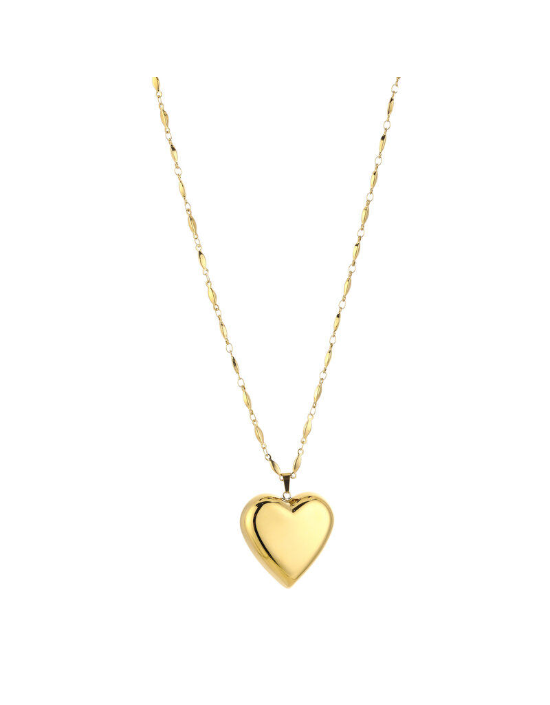 DANA FLOREA Lange ketting 80 cm met groot hart