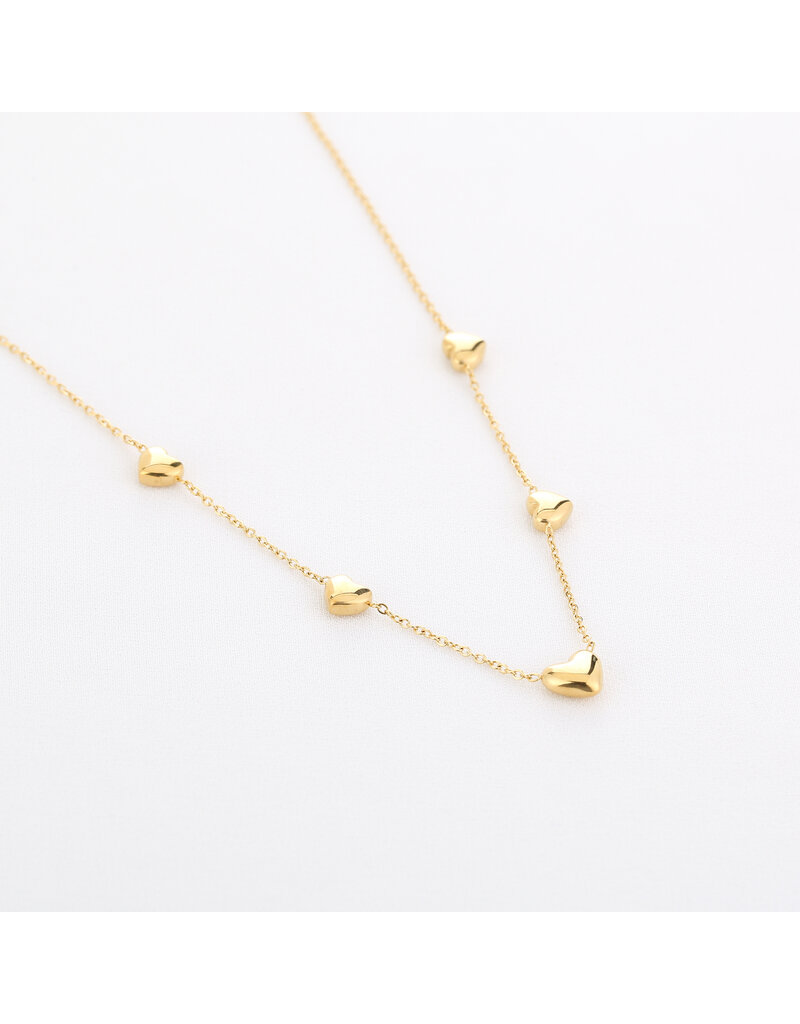 DANA FLOREA Hartjes ketting