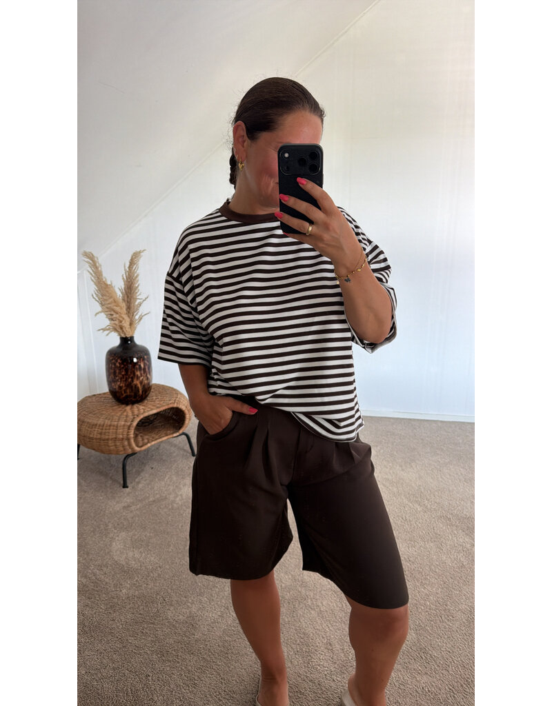 DANA FLOREA T-shirt Stripes Chelsea Bruin/Wit