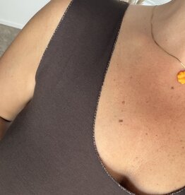 DANA FLOREA Top Isa Bruin
