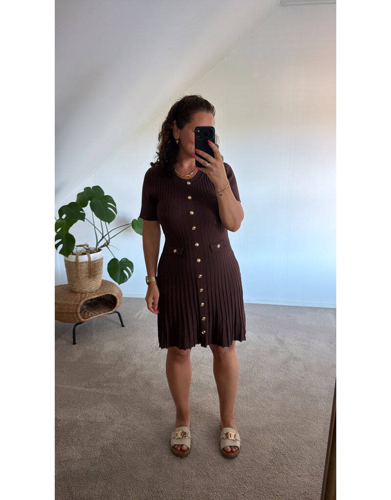 DANA FLOREA Jurk Jill Bruin