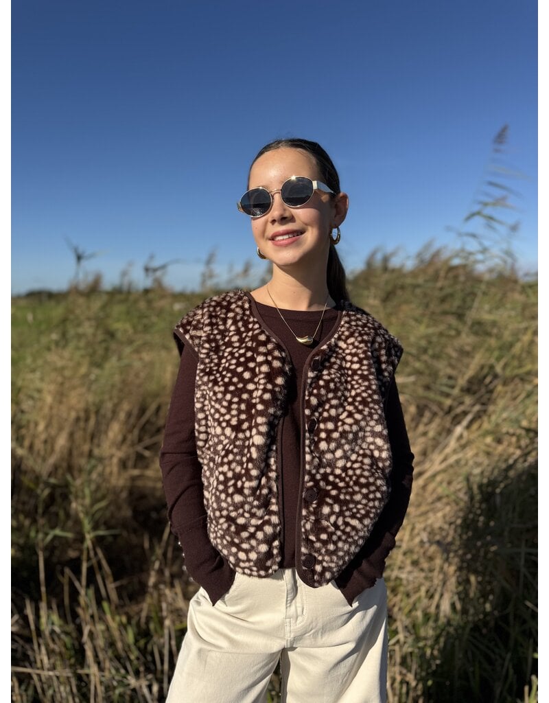 DANA FLOREA Teddy Gilet Bambi Bruin/Beige