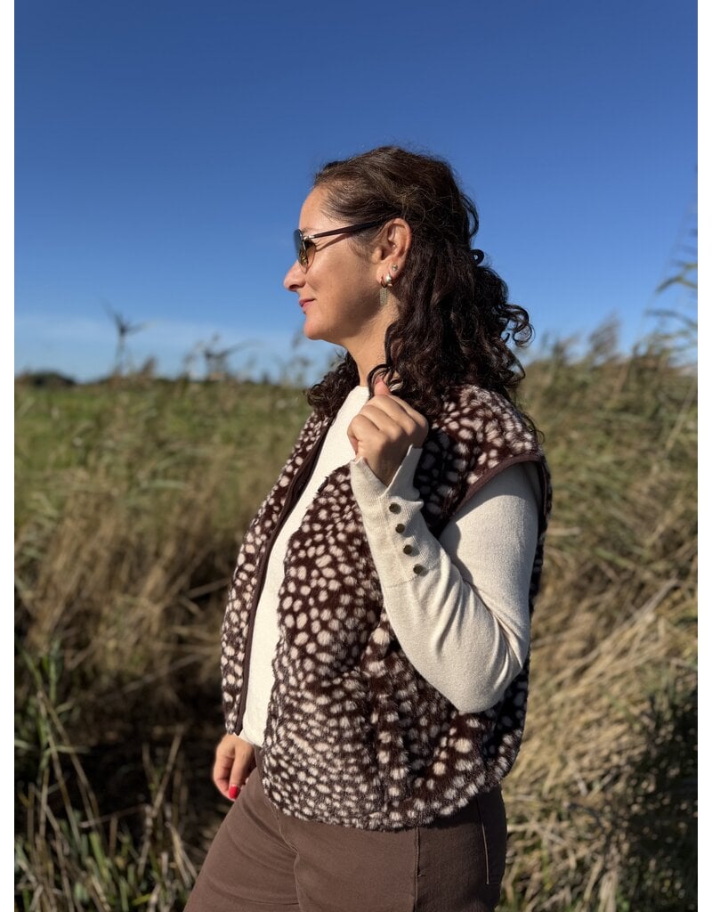 DANA FLOREA Teddy Gilet Bambi Bruin/Beige