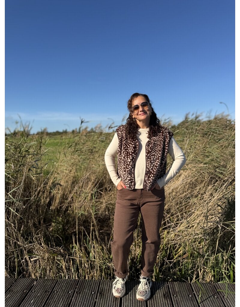 DANA FLOREA Teddy Gilet Bambi Bruin/Beige