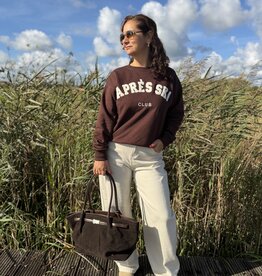 DANA FLOREA Sweater Aprés Ski Bruin