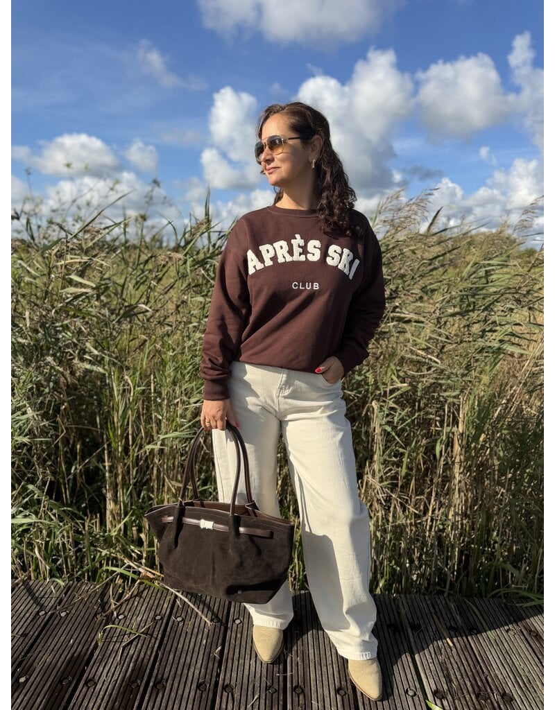DANA FLOREA Sweater Aprés Ski Bruin