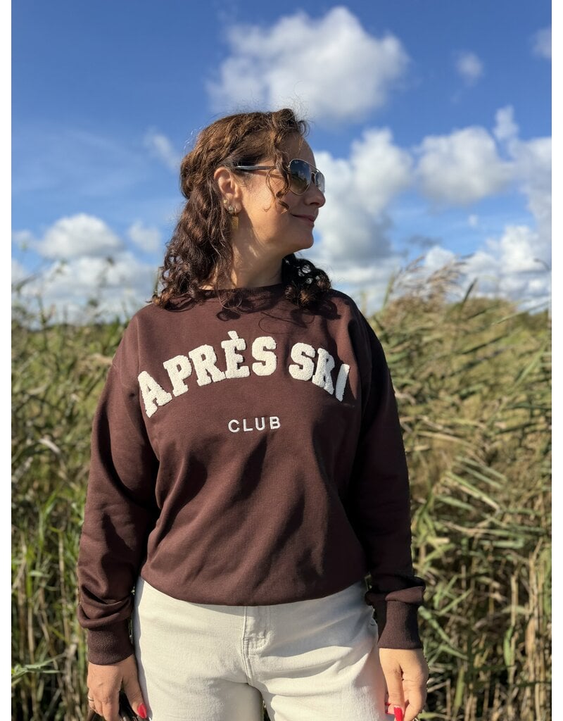 DANA FLOREA Sweater Aprés Ski Bruin