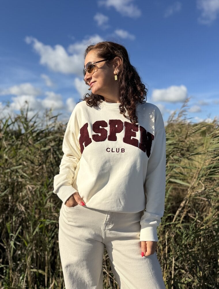 DANA FLOREA Sweater Aspen Beige/Bordeaux