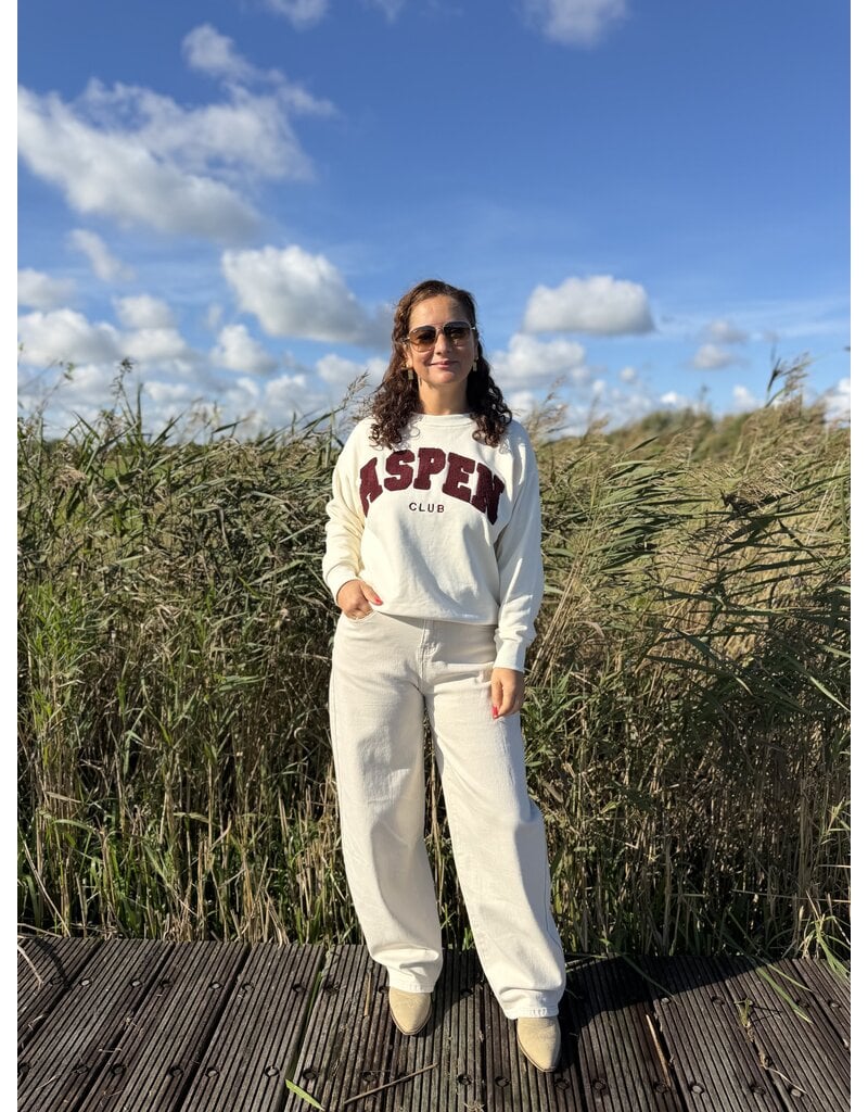DANA FLOREA Sweater Aspen Beige/Bordeaux