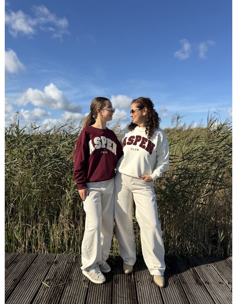 DANA FLOREA Sweater Aspen Beige/Bordeaux