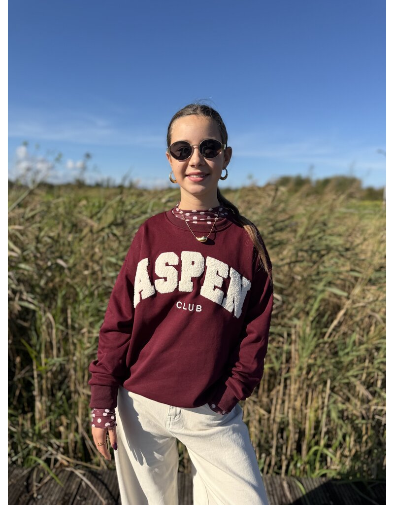 DANA FLOREA PRE-ORDER Sweater Aspen Bordeaux