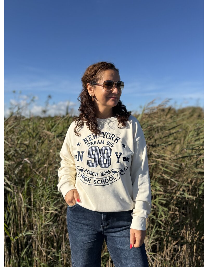 DANA FLOREA Sweater New York Beige/Blauw