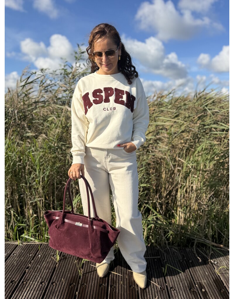 DANA FLOREA Tas Cambridge Bordeaux