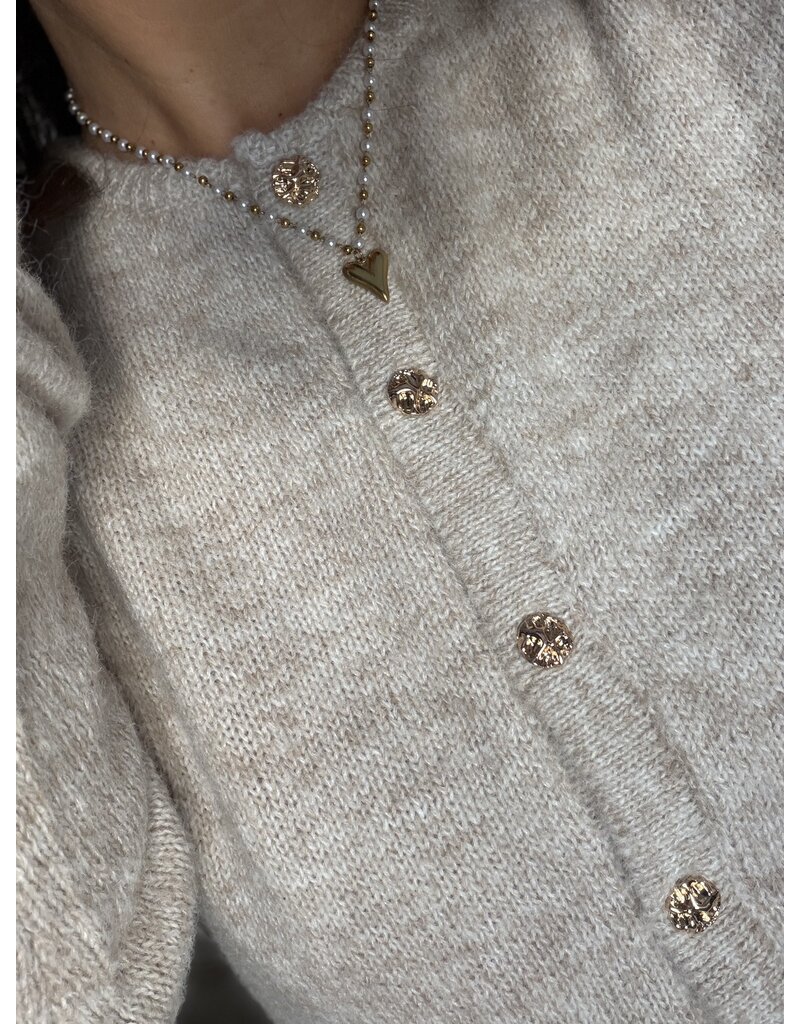 DANA FLOREA Vest Astrid Beige
