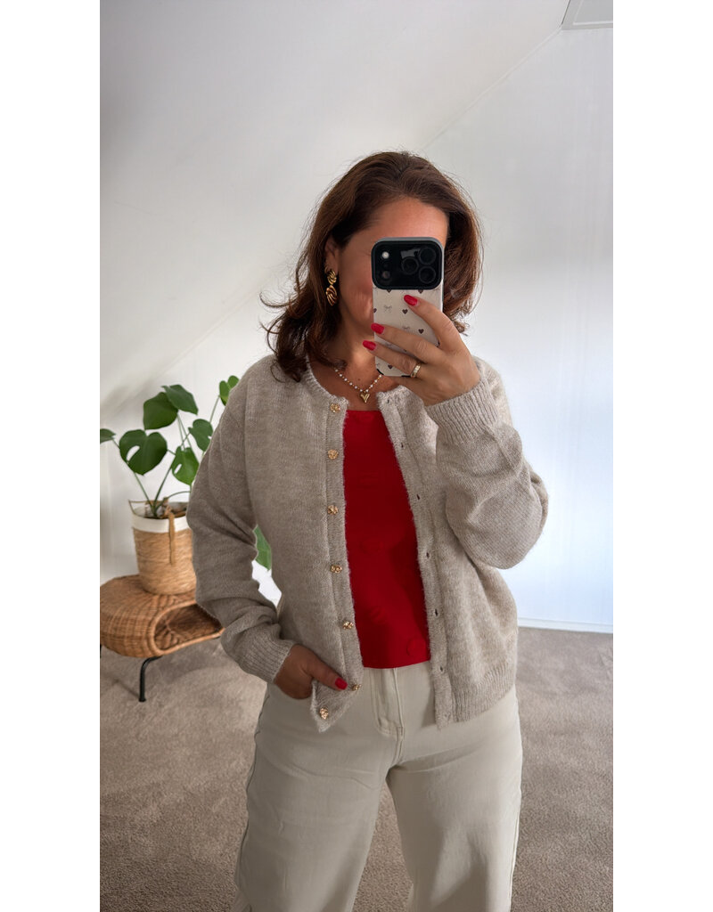 DANA FLOREA Vest Astrid Beige