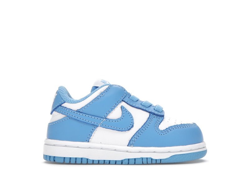 Nike Dunk Low UNC (TDE)