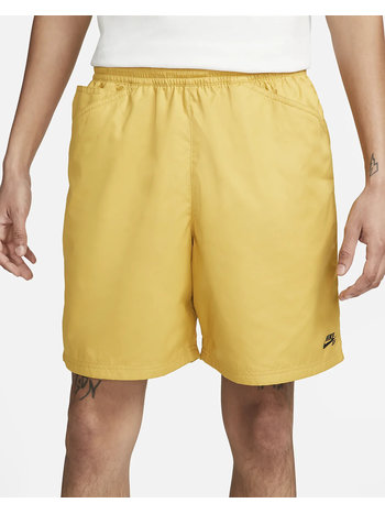 Nike SB Chino Shorts