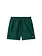 Carhartt Chase Swim Shorts Green