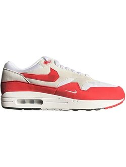 Nike Air Max 1 Low Poly