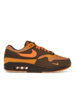 Nike Air Max 1 Kingsday