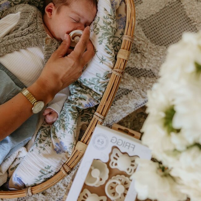 Baby's First Pacifier 4-Pack Cream